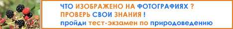 ������ ����-������� �� �������������� >>>